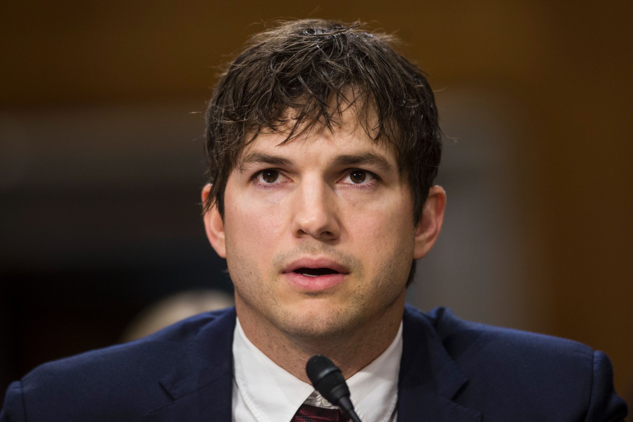 ashton kutcher digital defender ashton kutcher digital defender