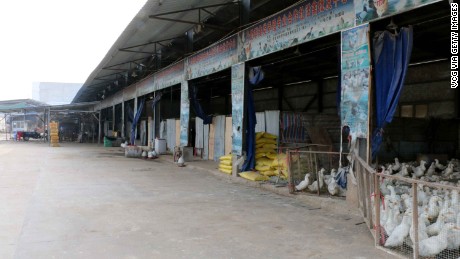 Chinese poultry markets closed to stop spread of avian flu