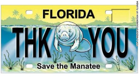A sample of the &quot;Save the Manatee&quot; plate, used to raise money for manatee protection.