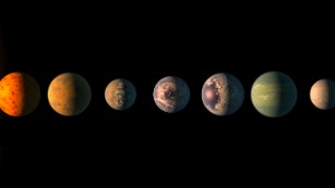 These 7 Earth-size exoplanets named after beer may be incredibly similar