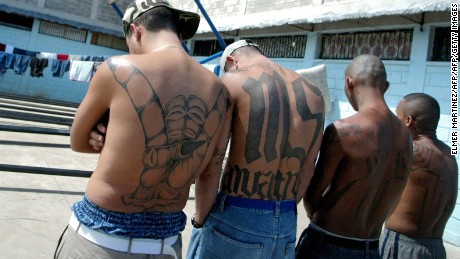 Trump admin was warned a policy change could strengthen MS-13. They did it anyway. 