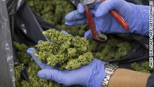 133% leap in children admitted to ER for marijuana, study finds
