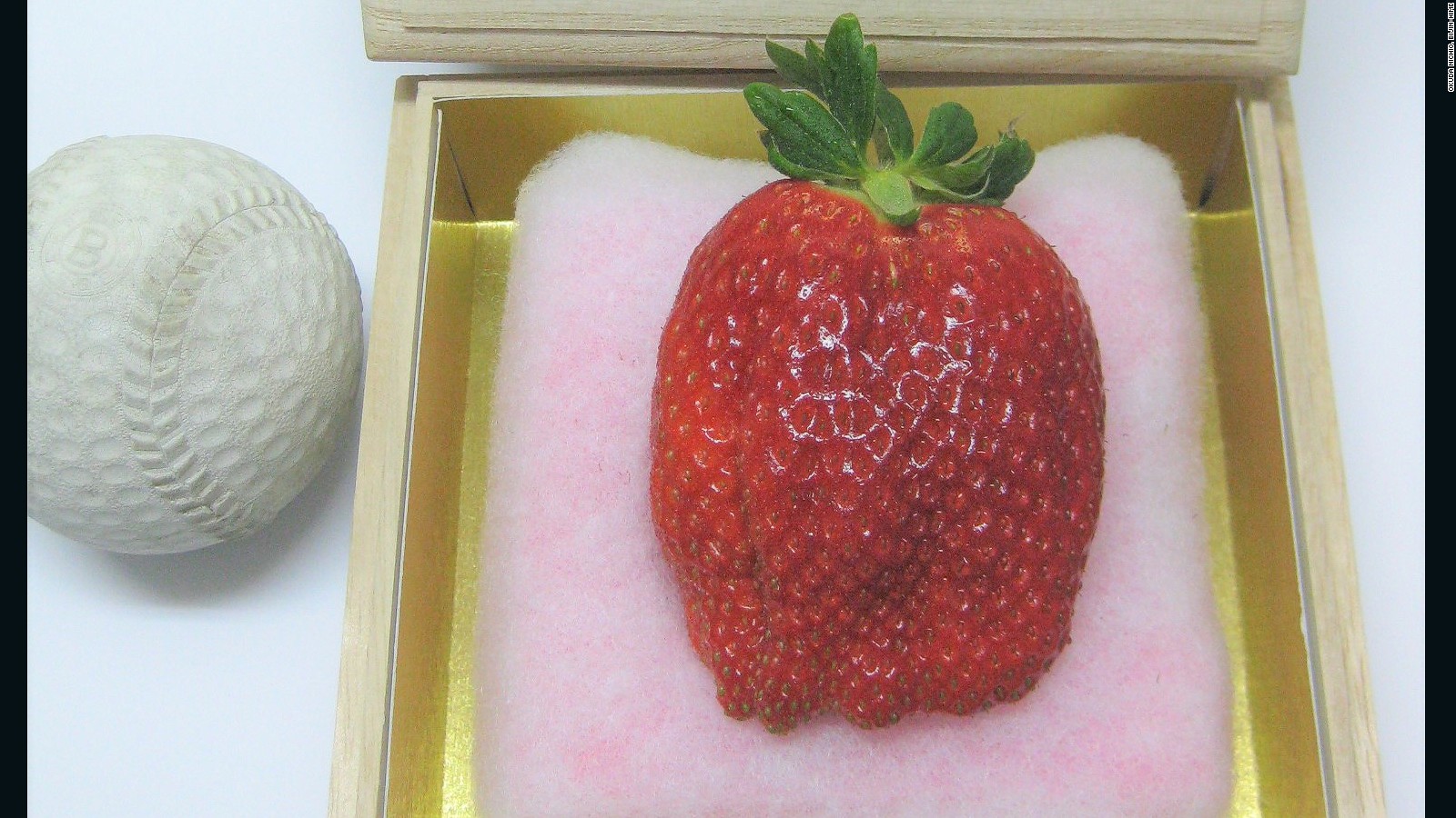 27 000 Melons Japan S Luxury Fruit Obsession Cnn Travel