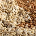 buckwheat grain stock
