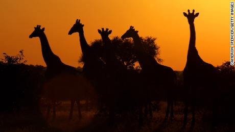 25 of Africa&#39;s most amazing places to visit