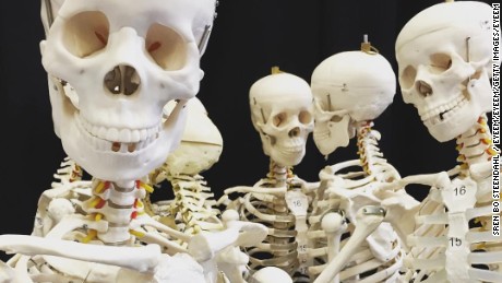 A stock photo of anatomical skeletons. Prior to a 1985 ban, India was one of the world&#39;s leading exporters of human remains. 