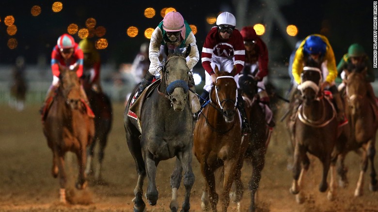 Who won the dubai world cup horse race results