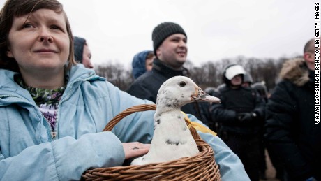 Ducks have become a symbol of anti-corruption in Russia, referencing a reported giant duck house at one of Medvedev&#39;s summer houses.