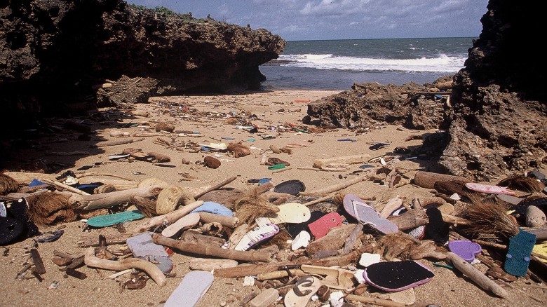 Each year, tons of flip flops wash up on the East African coast, including Kenyan beaches like the one pictured, posing a risk to plant and animal life. 