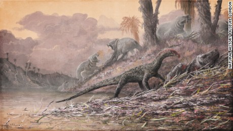 Why scientists are excited about this early dino cousin with croc-like features