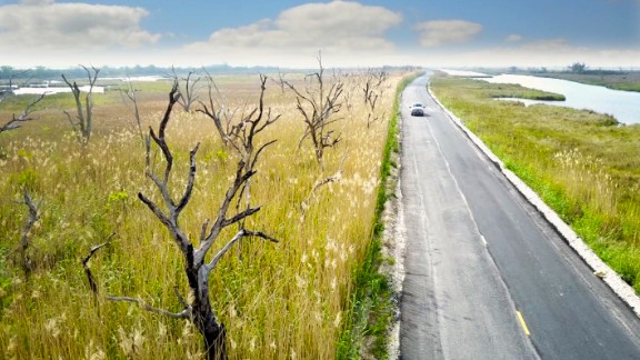 In the Mississippi Delta, trees are withering away because of rising saltwater, creating "<a href="http://edition.cnn.com/2017/04/20/us/louisiana-climate-change-skeptics/index.html">Ghost Forests</a>."