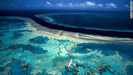 The Great Barrier Reef is literally in hot water 