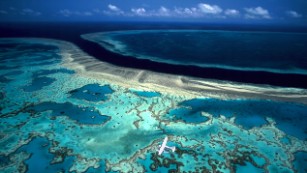 The Great Barrier Reef is literally in hot water 