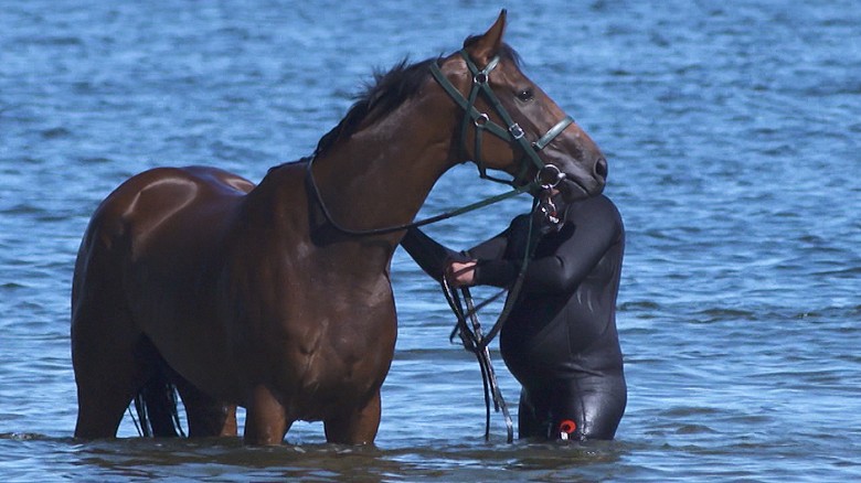 Why do race horses love the beach?