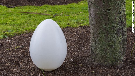 The biodegradable burial pod that turns your body into a tree 