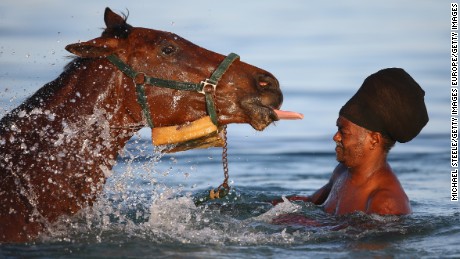 Why do race horses love the beach?