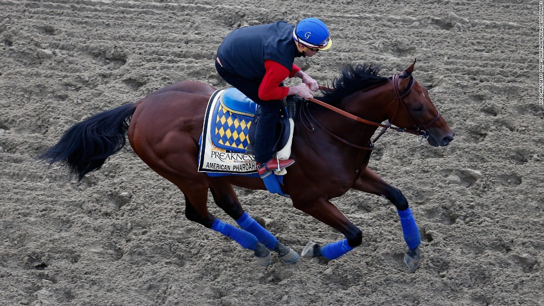 The Kentucky Derby is the first leg of three thoroughbred races -- the Triple Crown -- and is run ahead of the Preakness Stakes and Belmont Stakes. In 2015, American Pharoah became just the12th horse to win that coveted Triple Crown.