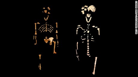 The famous &#39;&#39;Lucy&#39;&#39; skeleton, left, of Australopithecus afarensis, 3.2 million years old and on the right is the &#39;&#39;Neo&#39;&#39; skeleton of Homo naledi, 250,000 years old. 