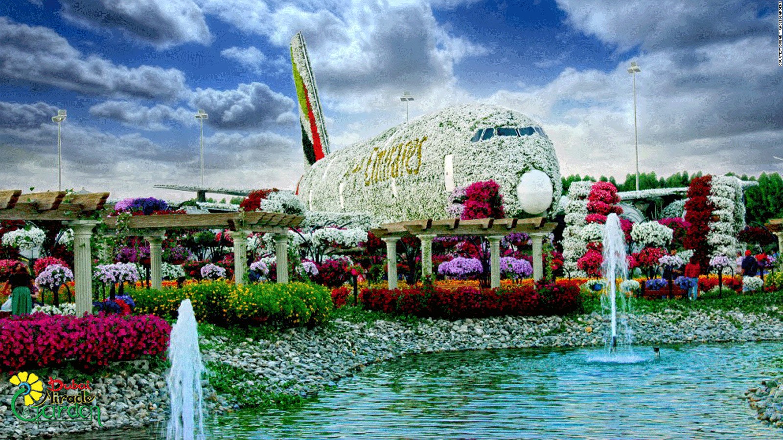 dubai miracle garden: world's largest flower garden | cnn travel