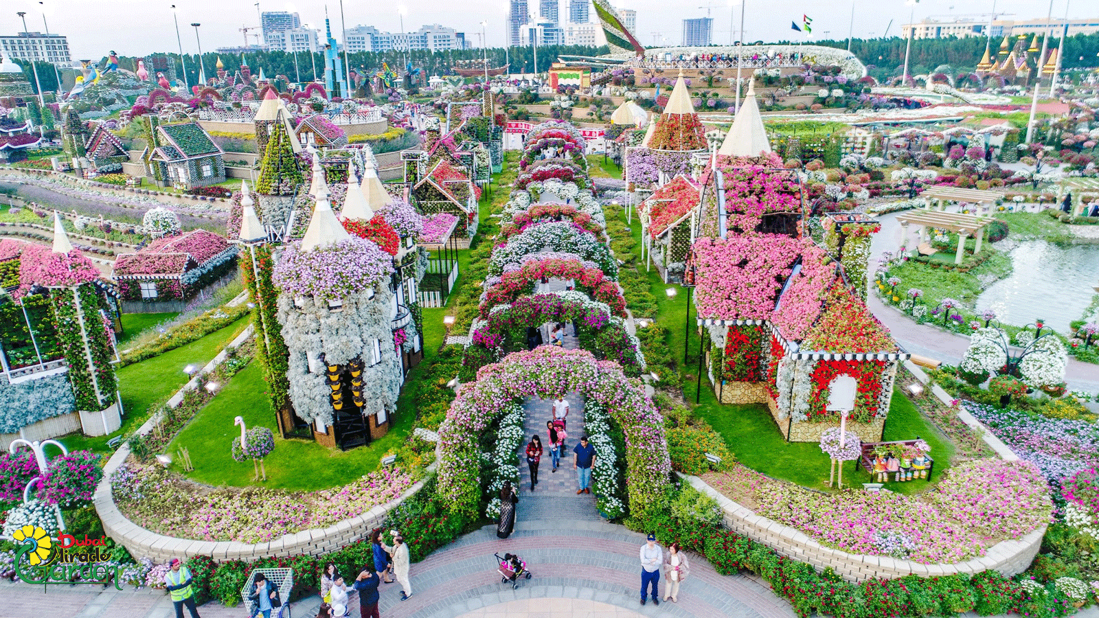 dubai miracle garden: world's largest flower garden | cnn travel