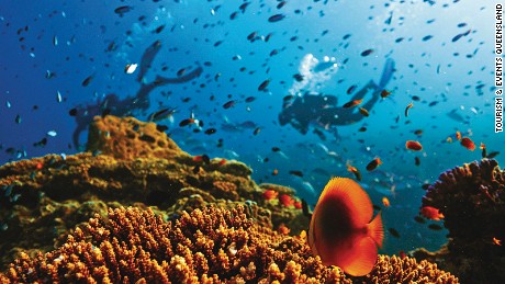 How much the Great Barrier Reef is worth, and what there is to lose 