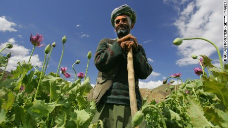 PANSHAR, AFGHANISTAN - MAY 29: Poppy farmer Abdul Rassod poses as he looks over at his field May 29, 2005 in Panshar, in the Badakhshan district in the northeast of Afghanistan. Abdul has been growing poppies for five years and receives 50% of the harvest. Afghanistan, the world&#39;s largest producer of opium and heroin, launched the first survey of drug abuse among its own population. The country produced 90 percent of the world&#39;s opium which is refined into heroin for sale in many parts of the world. U.N. experts have warned that the country is turning into a &quot;narco-state&quot; less than four years after the fall of the Taliban. President Hamid Karzai recently came under fire during his visit with President Bush for his record in fighting the war on drugs. (Photo by Paula Bronstein/Getty Images)