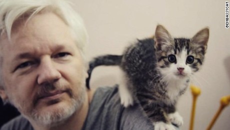 Julian Assange&#39;s seven-year stay inside a London embassy took him from wanted man to unwanted house guest