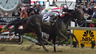 Cloud Computing takes Preakness as Derby winner Always Dreaming