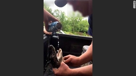 Two men are charged with harassment of wildlife