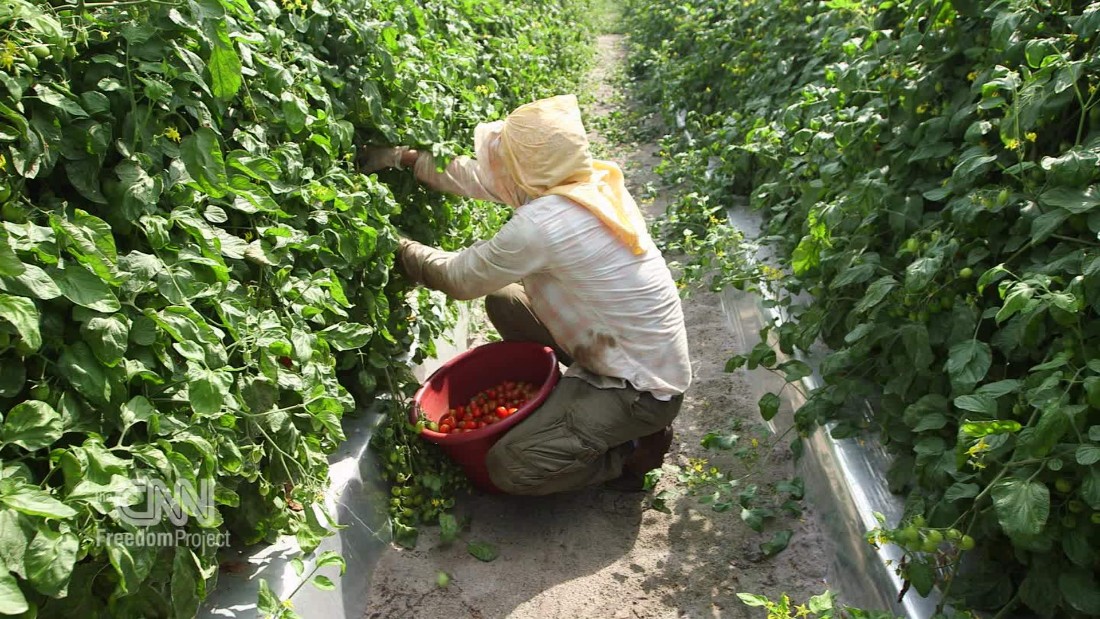 Fighting Modern Slavery On Florida Farms - CNN Video