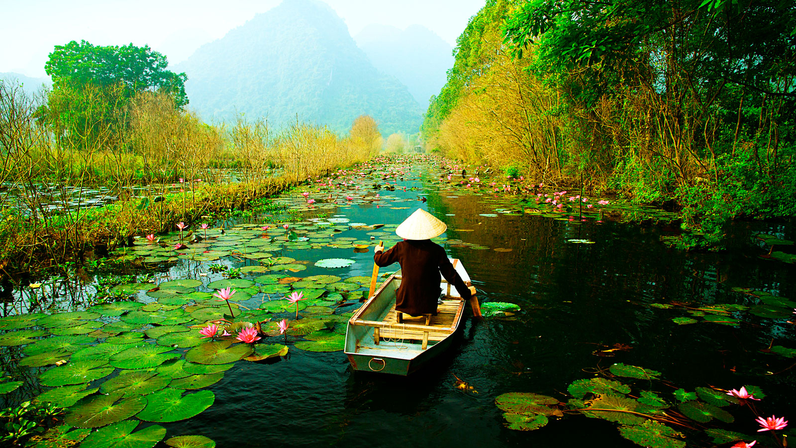 reddit travel to vietnam