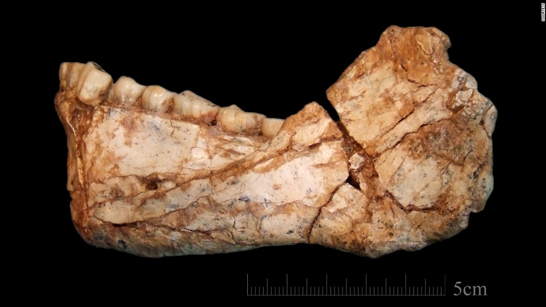 The oldest fossil remains of Homo sapiens, dating back 300,000 years, &lt;a href=&quot;http://www.cnn.com/2017/06/07/health/oldest-homo-sapiens-fossils-found/index.html&quot;&gt;were found&lt;/a&gt; at a site in Jebel Irhoud, Morocco. This is 100,000 years older than previously discovered fossils of Homo sapiens that have been securely dated. &lt;br /&gt; &lt;br /&gt;The fossils, including a partial skull and a lower jaw, belong to five different individuals including three young adults, an adolescent and a child estimated to be 8 years old. 