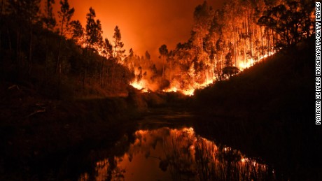 Several hundred firefighters were dispatched to tackle wildfires in central Portugal, in June 2017. The blazes left dozens of people dead.