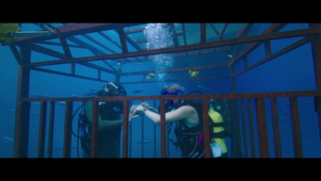 is in the deep movie just 47 meters down