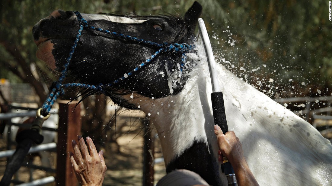 Lori Mantz sprays water to cool down her horse Thor in Las Vegas on June 19.