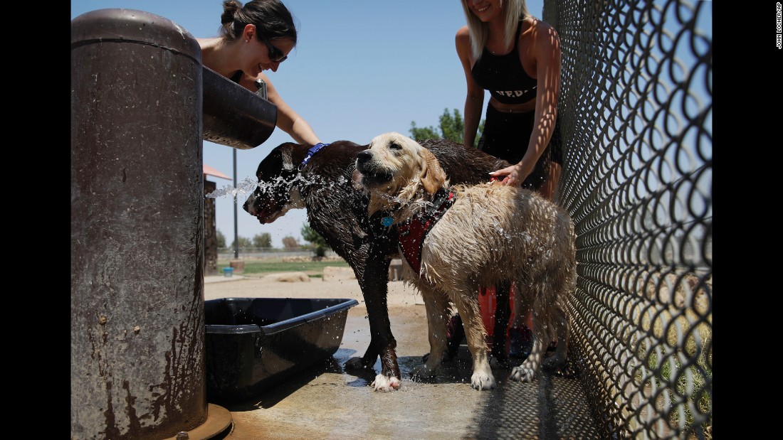 Jennifer Boushy, left, and Jennifer Rellinger cool off their pets at a dog park in Las Vegas on June 20.