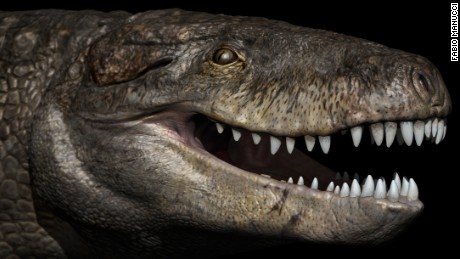 Jurassic-era crocodiles in Madagascar had T. rex teeth