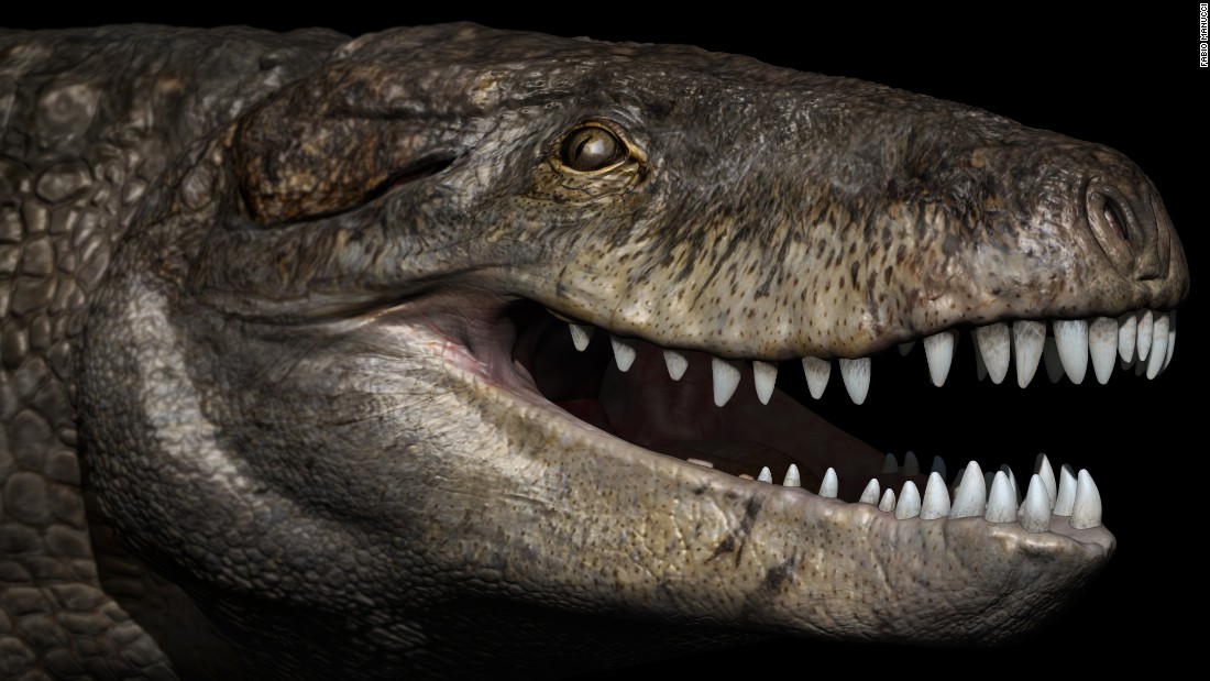 Razanandrongobe sakalavae, or &quot;&lt;a href=&quot;http://www.cnn.com/2017/07/04/world/giant-crocodile-razana-study/index.html&quot;&gt;Razana&lt;/a&gt;,&quot; was one of the top predators of the Jurassic period in Madagascar 170 million years ago. Although it looks different from modern-day crocodiles and had teeth similar to a T. rex&#39;s, Razana was not a dinosaur but a crocodile relative with a deep skull. 