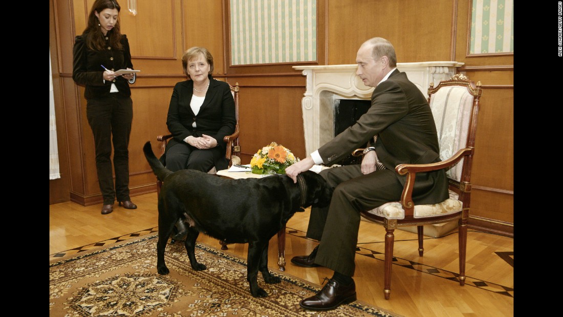 Putin pets his dog Kuni as he addresses journalists with German Chancellor Angela Merkel in January 2007. Merkel, reportedly fearful of dogs since one attacked her in 1995, was photographed looking distinctly uncomfortable when Putin brought his large black Labrador into the meeting in Sochi, Russia. Years later, &lt;a href=&quot;http://www.cnn.com/2016/01/12/europe/putin-merkel-scared-dog/index.html&quot; target=&quot;_blank&quot;&gt;he told the German newspaper Bild&lt;/a&gt; he had no intention of intimidating Merkel. &quot;When I found out that she doesn&#39;t like dogs, of course I apologized,&quot; he said.