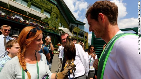 Andy Murray comes face-to-face with Rufus at Wimbledon back in 2014.  
