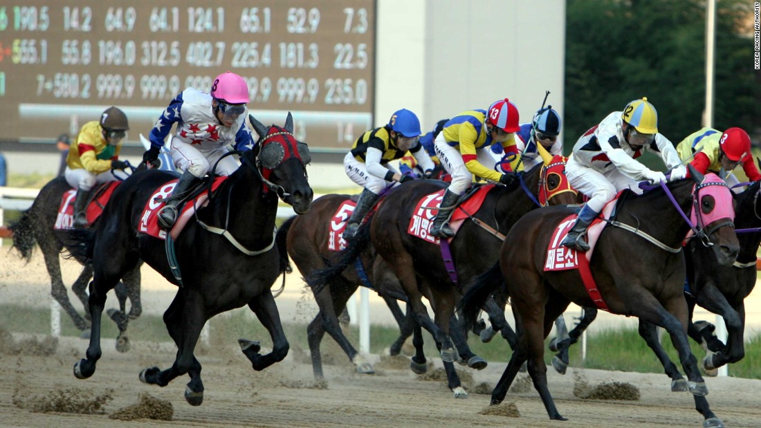 Horse Racing: Inside the world of South Korean horse racing - CNN