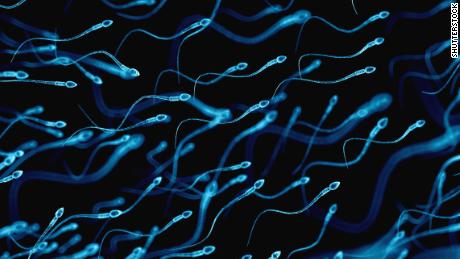 Sperm counts of Western men plummeting, analysis finds