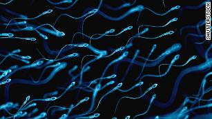 Weakest sperm left behind at 'gates' along reproductive path, study finds