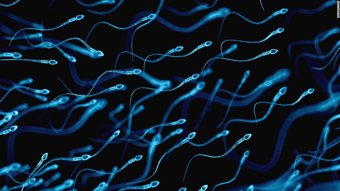Ibuprofen linked to male infertility, study says – Trending Stuff