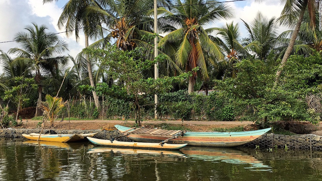 Sri Lanka Mangrove Tours Explore The Unexpected Beauty Cnn Travel