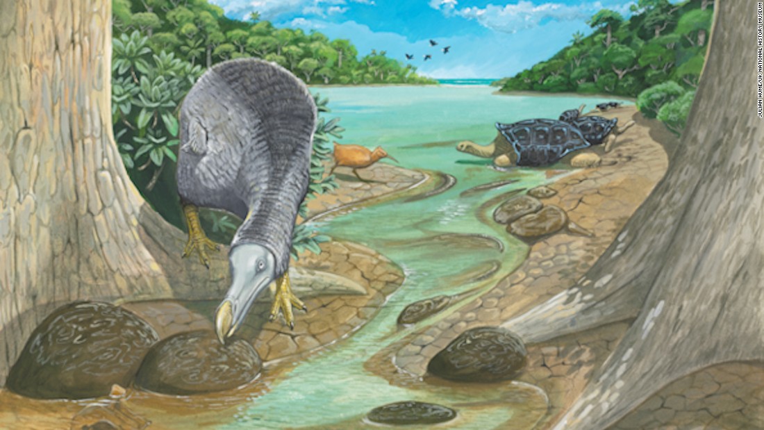 An illustration shows the &lt;a href=&quot;http://www.cnn.com/2017/08/24/world/dodo-extinct-new-insight/index.html&quot;&gt;dodo&lt;/a&gt; on Mauritius near the Mare aux Songes, where many dodo skeletons have been recovered.