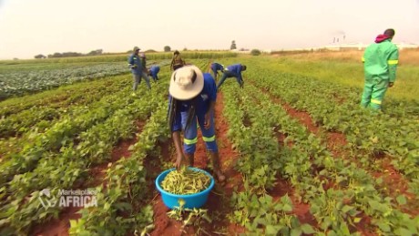 What Trump and African leaders need to know about food security