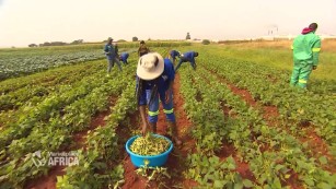 Fighting Food Insecurity with Football: Here's What Joe Burrow and Farmers  Have in Common