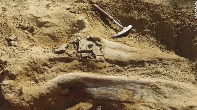 'Dragon Dinosaur' Discovered In China - CNN Video