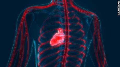 Nearly half of US adults have cardiovascular disease, study says  